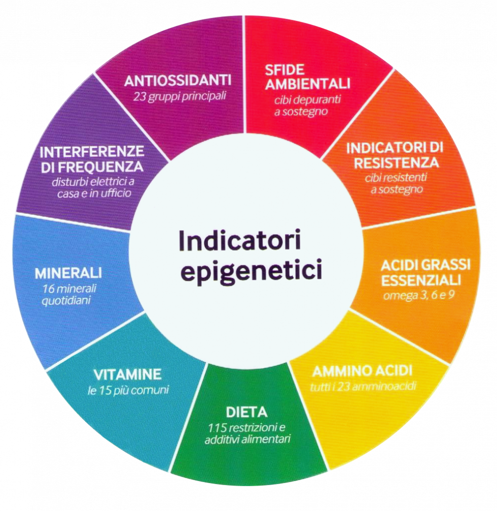 Naturopata, ti aiuto a liberarti di gonfiore addominale, disturbi gastrointestinali, dolori e stanchezza cronica, eruzioni cutanee grazie al Test del bulbo del capello. Ricevo a Codroipo, Feletto Umberto, Udine e Pordenone.